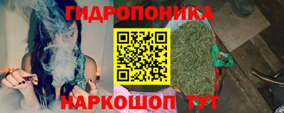 стафф Бийск