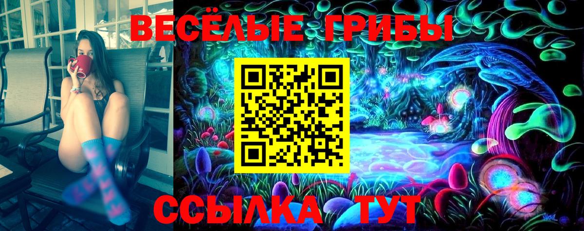 Псилоцибиновые грибы Psilocybe  Вход с VPN  Галлюциногенные грибы ЛСД  Изобильный 