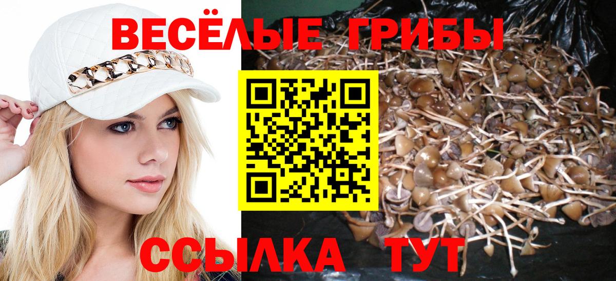 Псилоцибиновые грибы прущие грибы Изобильный